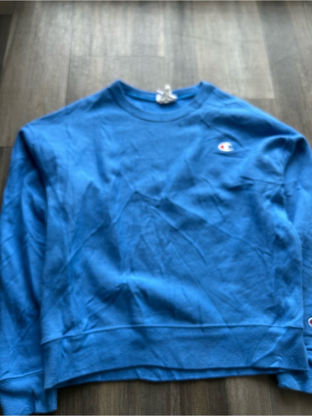 Champion Bright Blue Pullover Sweatshirt with Small Logo